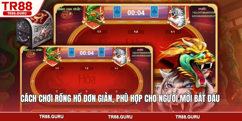 Cách chơi rồng hổ đơn giản, phù hợp cho người mới bắt đầu
