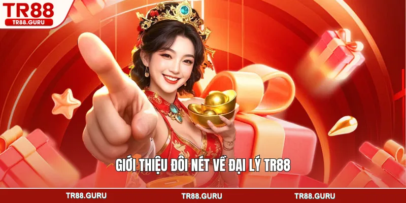 Giới thiệu đôi nét về đại lý TR88