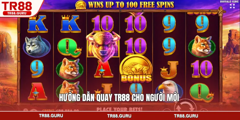 Hướng dẫn quay TR88 cho người mới